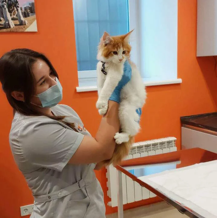 HAB Vet - ветеринарна клініка