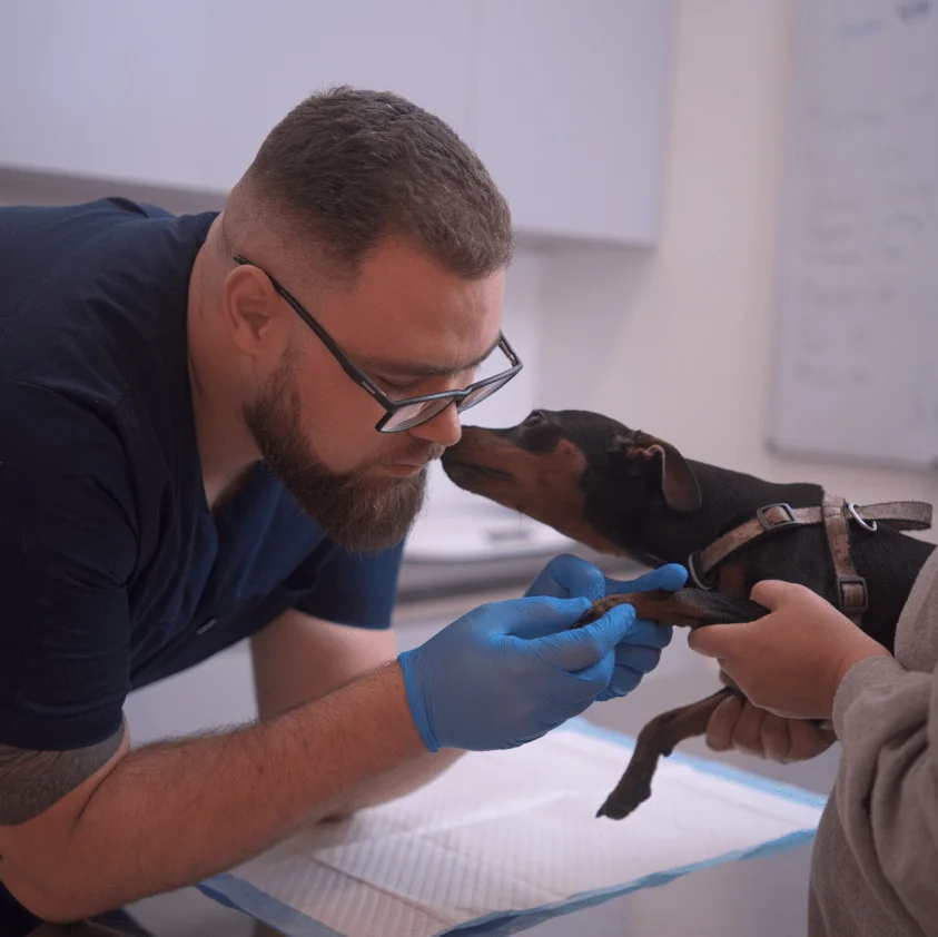 HAB Vet - ветеринарна клініка