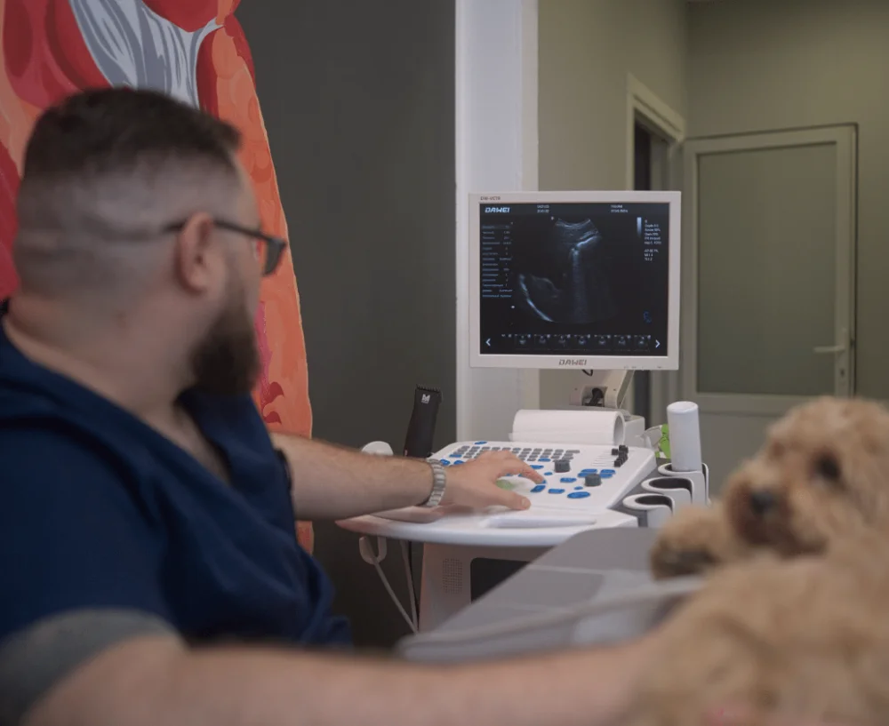 HAB Vet - ветеринарна клініка